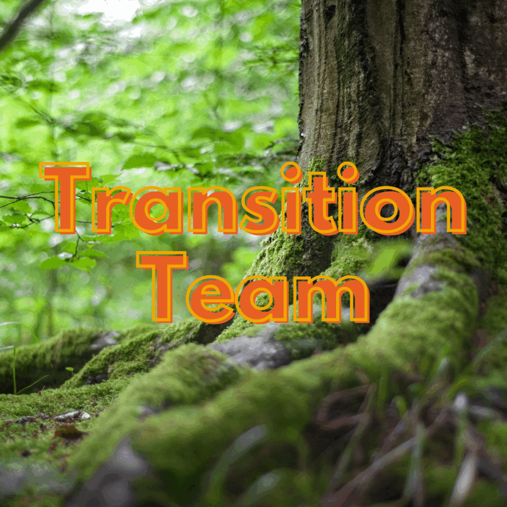 Transition Team