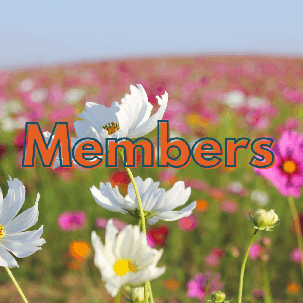 Members