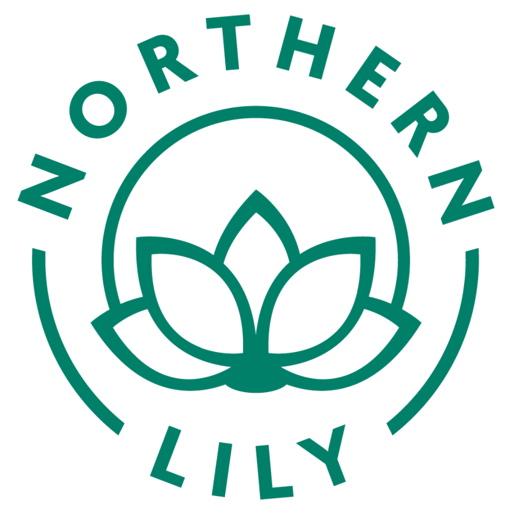 Northern Lily