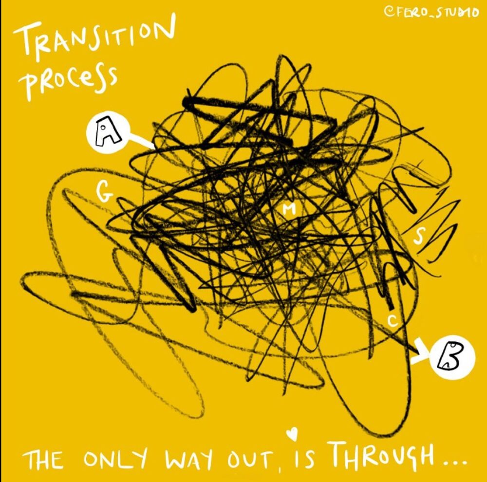 Transition Process